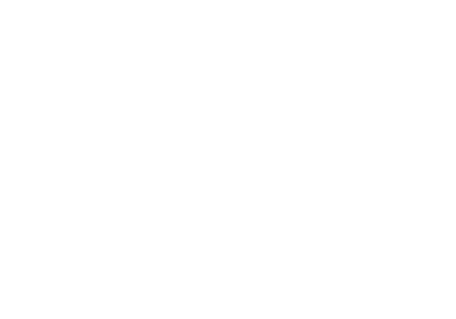 Saigon Hustle logo top